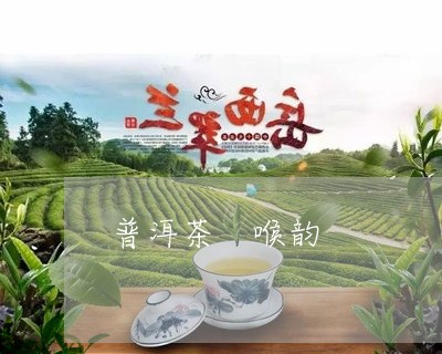 普洱茶 喉韵/2023042631462